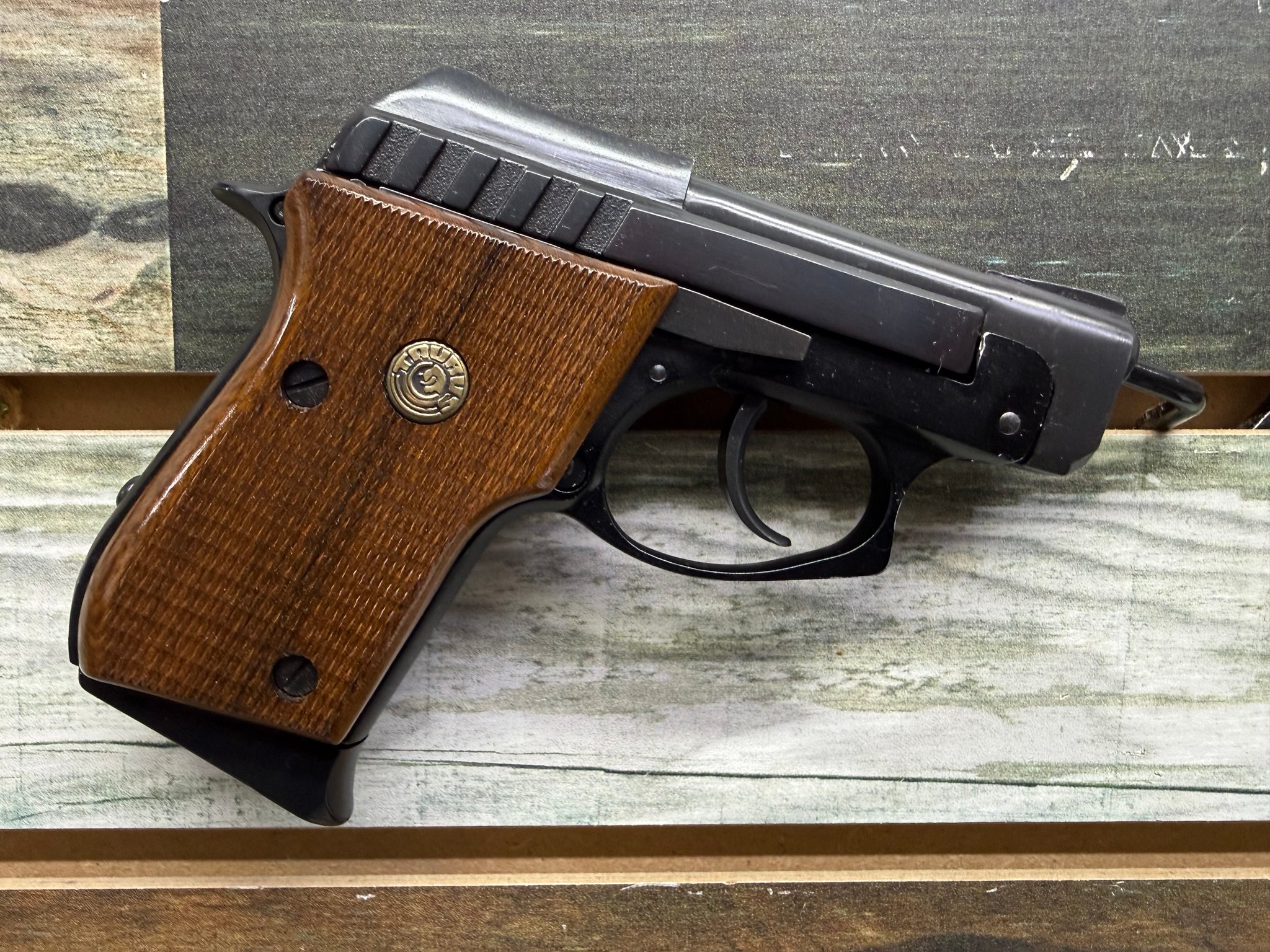 TAURUS PT22