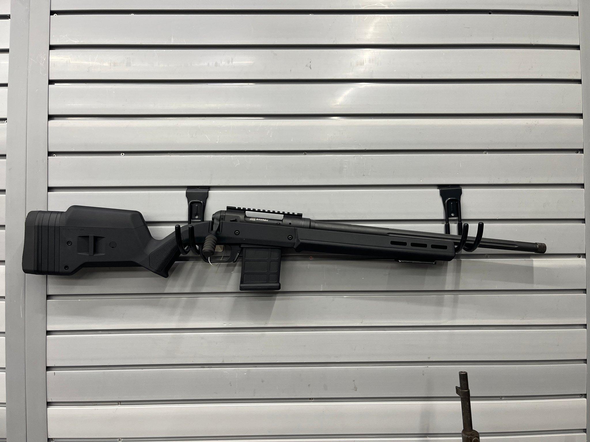 SAVAGE ARMS 10