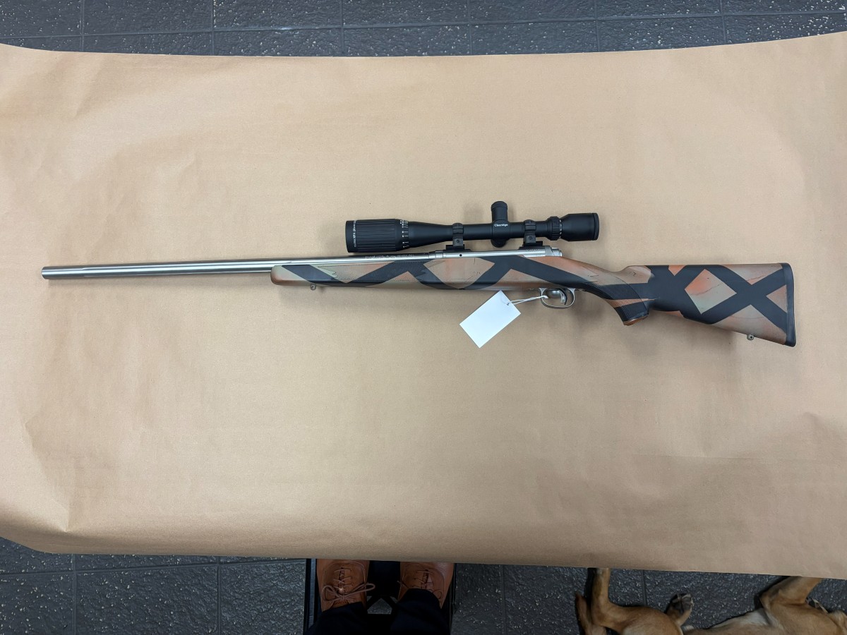 SAVAGE ARMS 12