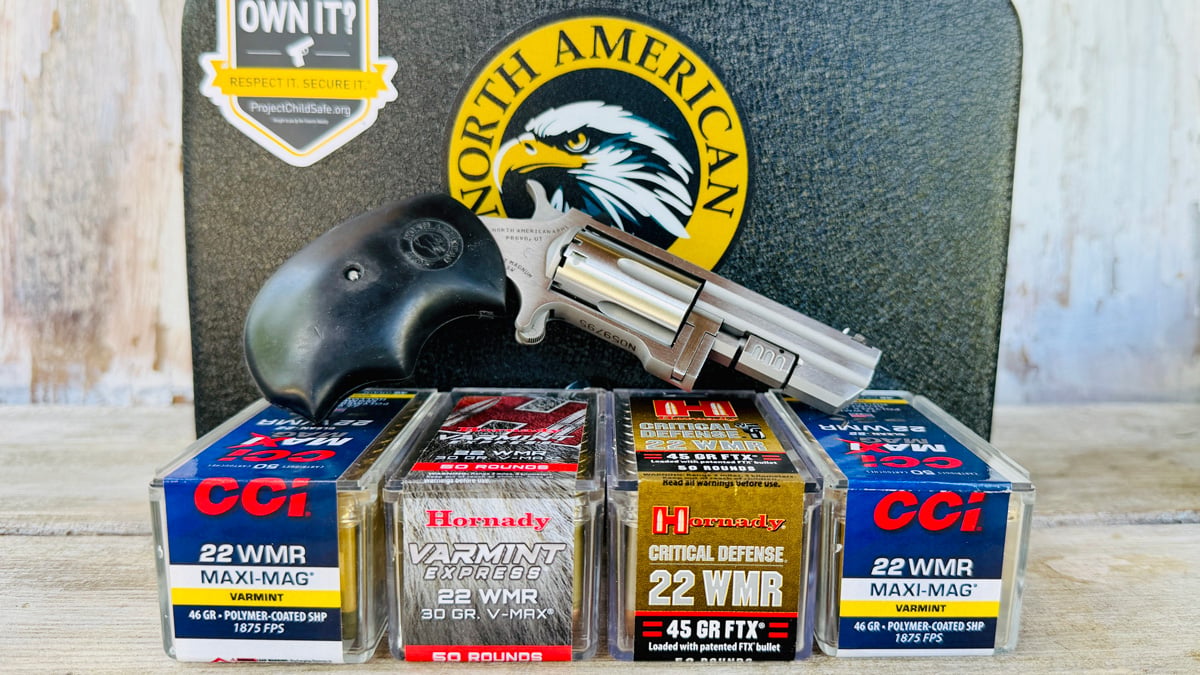 North American Arms Recluse