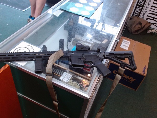 PALMETTO STATE ARMORY PA-15 (STANDARD)