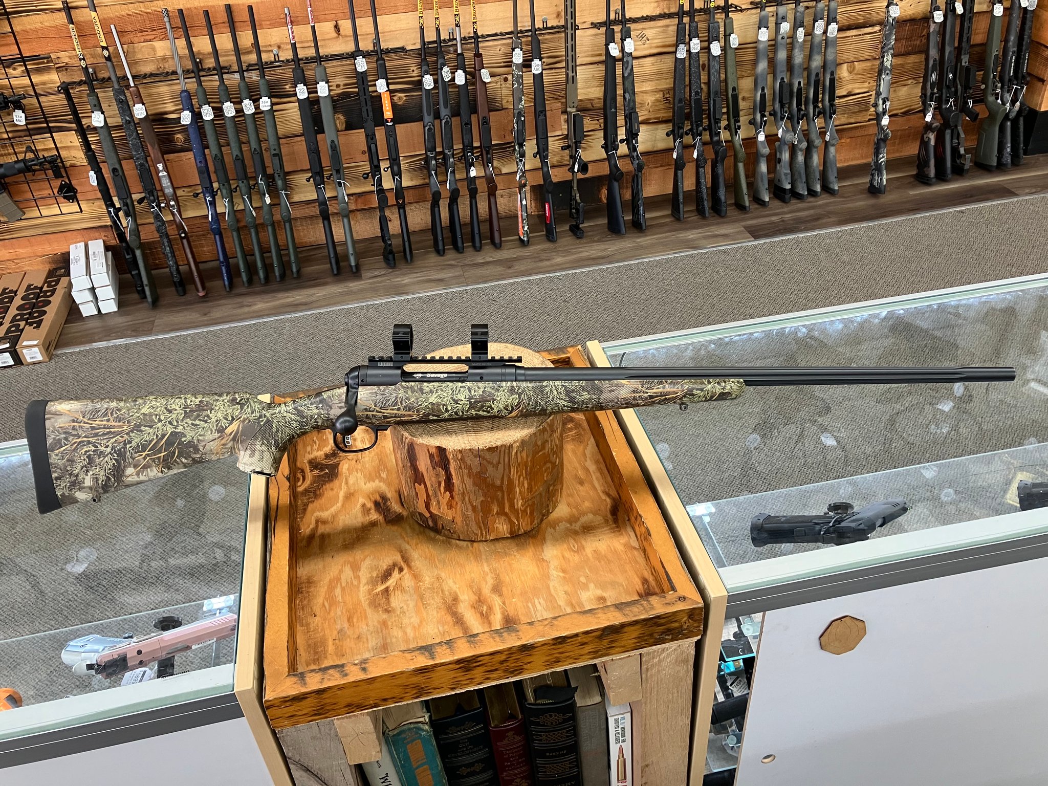 SAVAGE ARMS 10