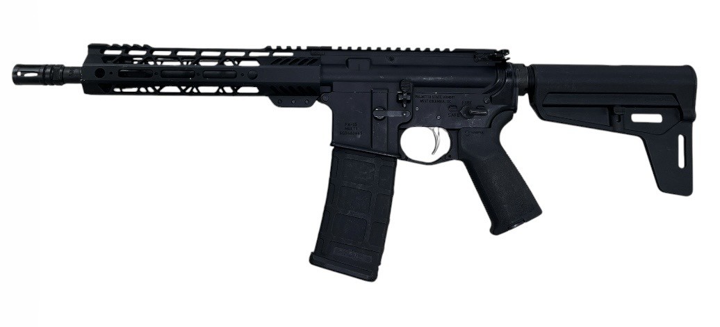 PALMETTO STATE ARMORY PA-15