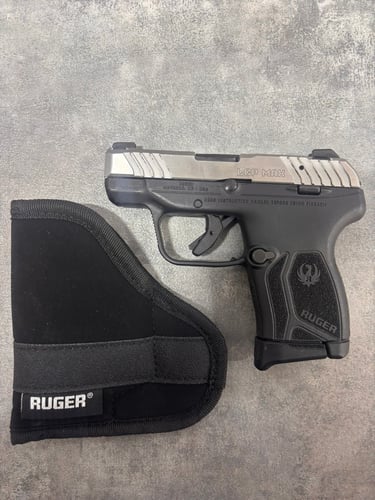 RUGER LCP MAX STAINLESS 13749
