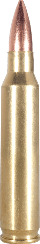ARMSCOR RIFLE