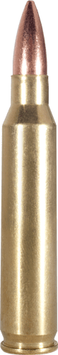 ARMSCOR RIFLE