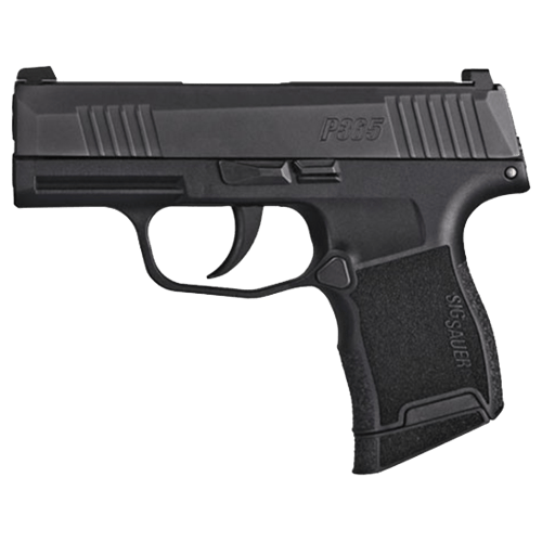 Sig Sauer P365 vs Ruger LCP MAX size comparison Handgun