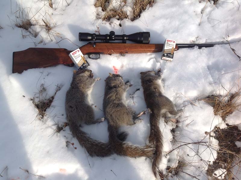 5mm Remington