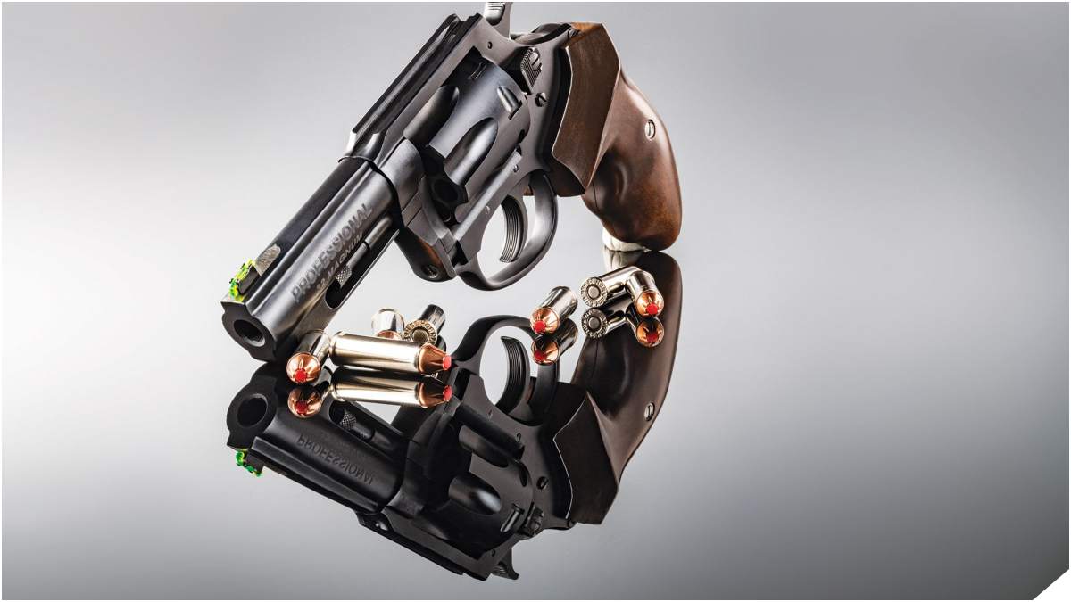Charter Arms New Professional .32 H&R Magnum Model