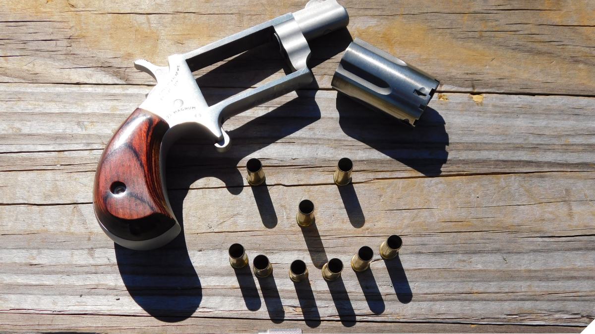 NAA Mini Revolver